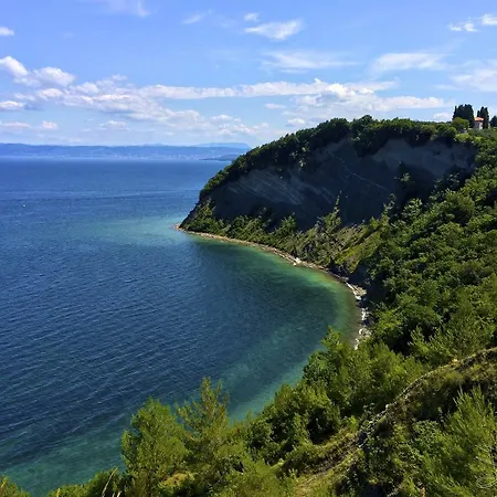 In Villa, Near Piran Apartman