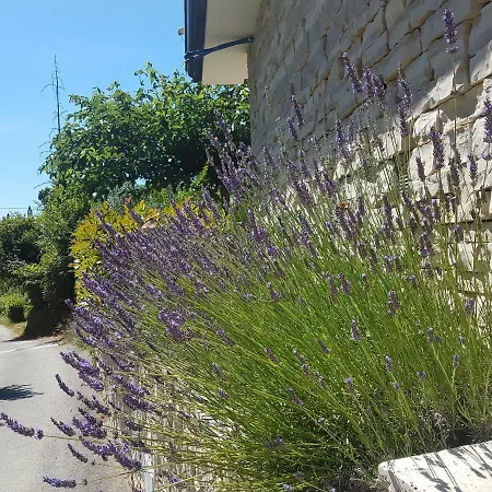 In Villa, Near Piran Apartman Strunjan