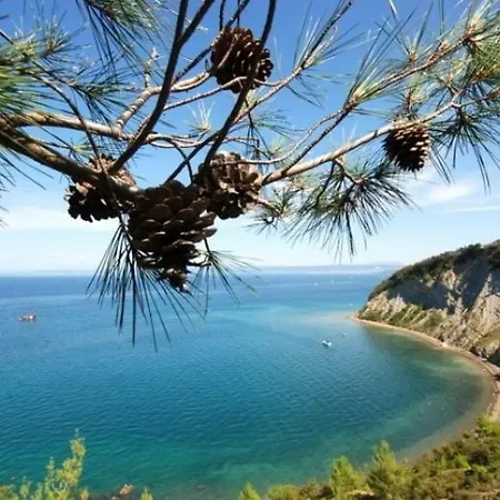 In Villa, Near Piran 斯楚雅