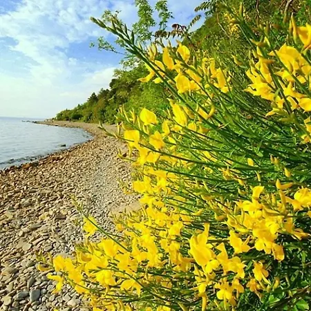 In Villa, Near Piran 斯楚雅