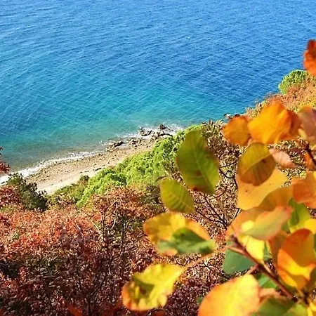 In Villa, Near Piran 斯楚雅