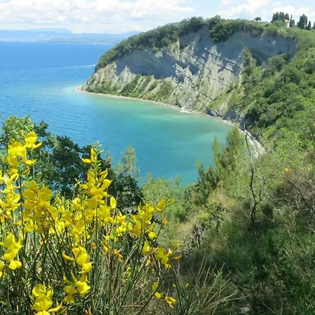 In Villa, Near Piran 公寓 *