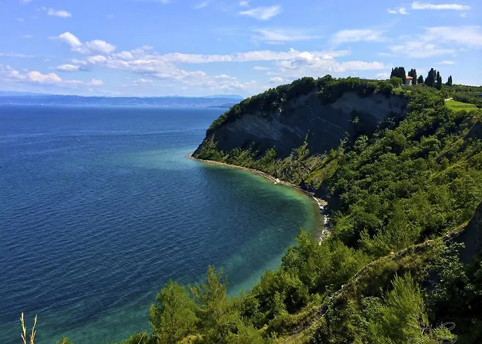 In Villa, Near Piran Διαμέρισμα