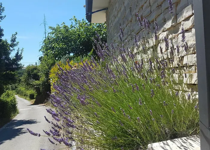 In Villa, Near Piran アパート ストゥルニャン