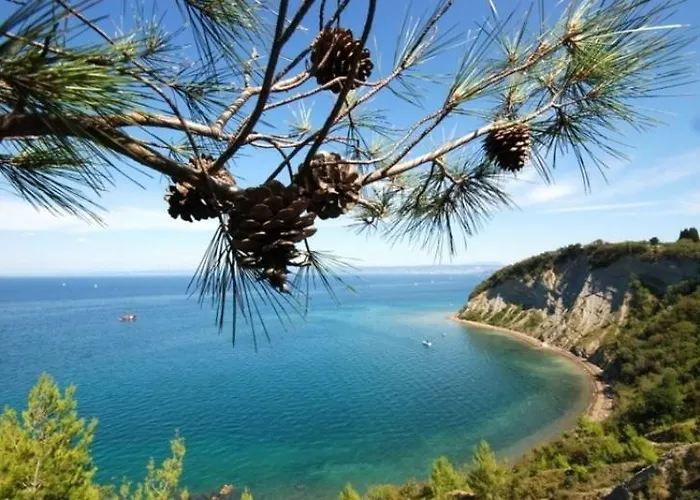 In Villa, Near Piran Strunjan