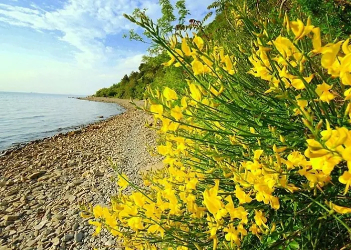 In Villa, Near Piran ストゥルニャン
