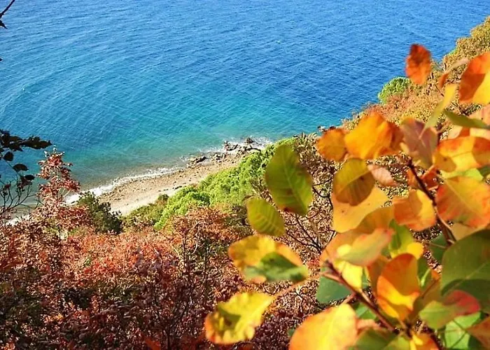 In Villa, Near Piran Strunjan