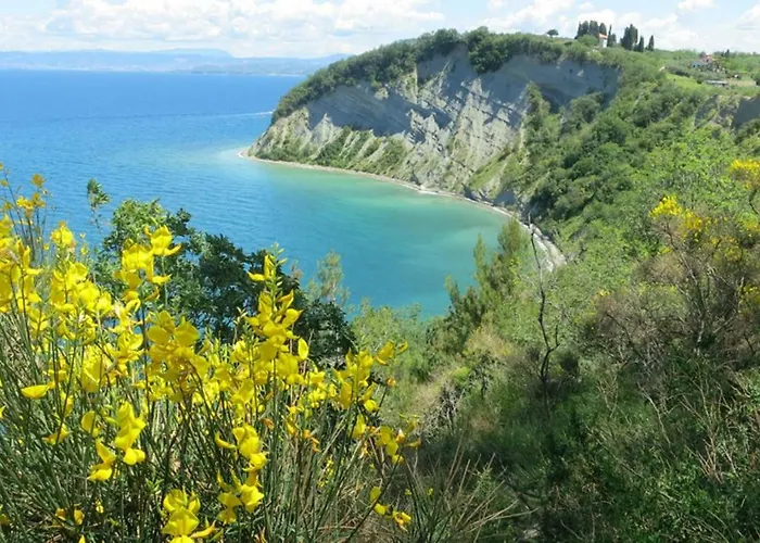In Villa, Near Piran Διαμέρισμα *